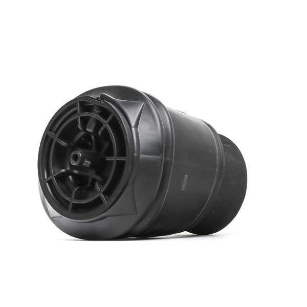 Kupte si levné originální Měchy SKASS-1850081 porovnatelné s F307512501 OEM čísly online