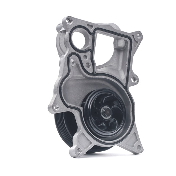 1260W0456 RIDEX Kühlwasserpumpe X5 (F15, F85) xDrive30d 277 PS Diesel