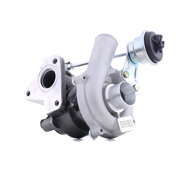 RENAULT 1.6 Hi-Flex (JA15, JA2B, JA2C) 116 AG benzinas / etanolis Turbokompresorius OEM 14111BN700 iš RIDEX internetu puikiomis kainomis
