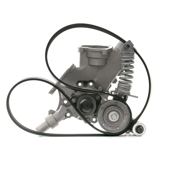 OEM Waterpomp + Multi V-riemset OPEL 1.2 (F08, F68) 75 PK Benzine 1334079 van INA online aan verbazingwekkende prijzen