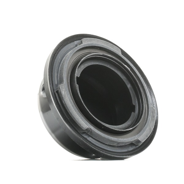 RENAULT 2.0 dCi (JK01, JK02, JK1J, JK1K, JK1H) 150 AG dyzelinas Veleno sandariklis, alkūninis velenas OEM 1351000Q0A iš DR.MOTOR AUTOMOTIVE internetu puikiomis kainomis