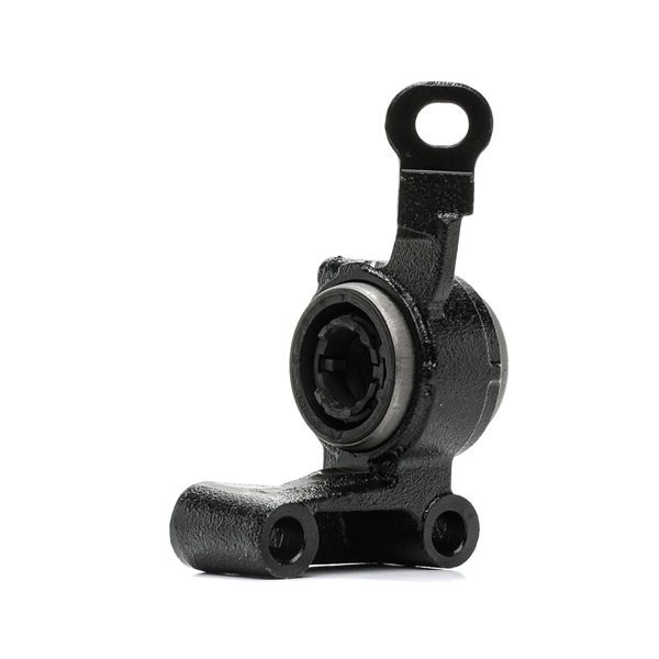 OEM Supporto braccio oscillante MINI One LPG 75 CV Benzina/Gasauto (GPL) 31124048627 da RIDEX online ad un ottimo prezzo
