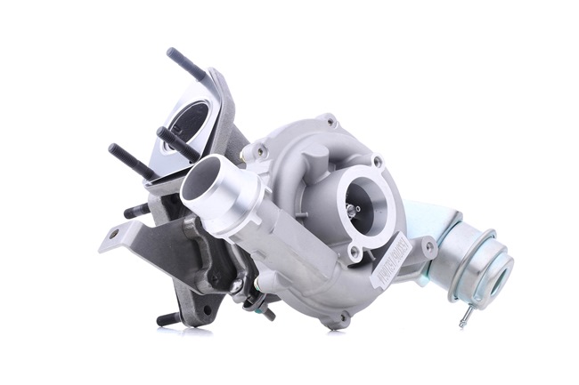 RENAULT 1.5 DCI 64 AG dyzelinas Turbokompresorius OEM 0860583 iš RIDEX internetu puikiomis kainomis