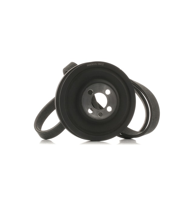 Køb billige originale Kileremssæt 542R0648 tilsvarende med 03G105243C OEM numre online
