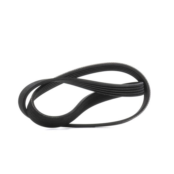 Buy cheap original Serpentine belt 305P0503 comparable with 71719079 OEM numbers online