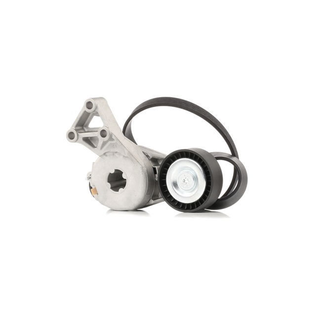 OEM Set curea transmisie cu caneluri SKODA 1.6 LPG 102 CP Benzina/Autogaz (GPL) 06A903315D de la STARK online la un preț incredibil
