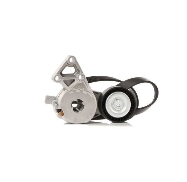 OEM Set curea transmisie cu caneluri SKODA 1.6 LPG 102 CP Benzina/Autogaz (GPL) 06A903315D de la RIDEX online la un preț incredibil