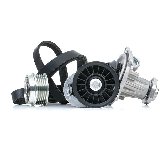 Originale Wasserpumpe + Keilrippenriemensatz VW 1.9 TDI Syncro/4motion 110 PS Diesel 028121004 von RIDEX im Internet zu fairen Preisen