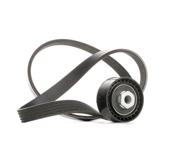 OEM Poly V-riem set RENAULT 2.0 Williams 147 PK Benzine 7701477539 van STARK online aan geweldige prijzen