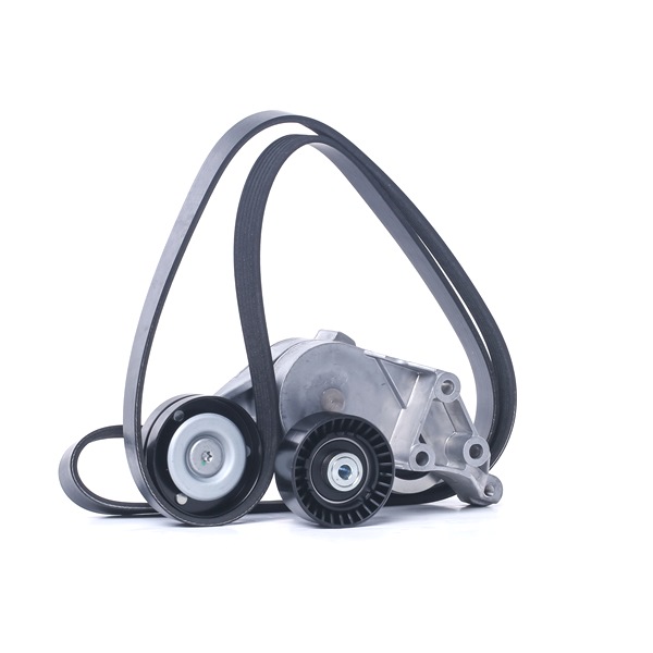 Koop online goedkoop originele Poly V-riem set 542R0660 vergelijkbaar met 03L903024 OEM-nummers