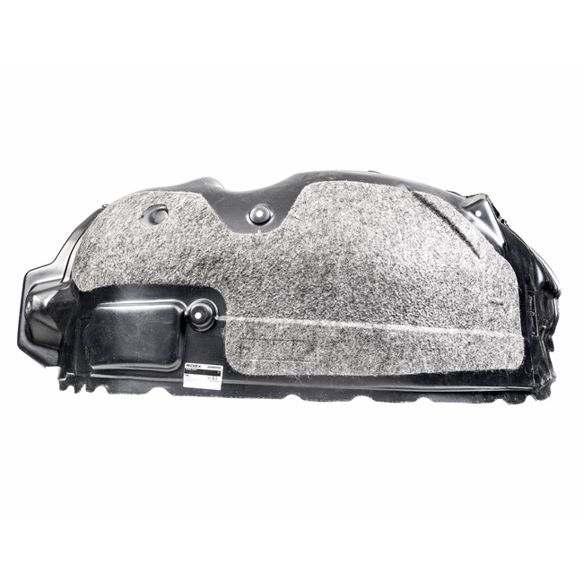 RIDEX Pokrov motorja 4256E0025