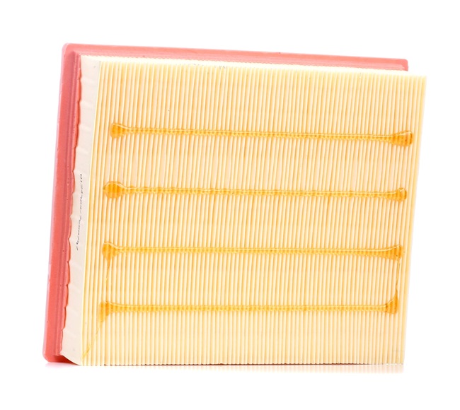 Køb billige originale Luftfilter 0000003.0000008 tilsvarende med VAF488 OEM numre online