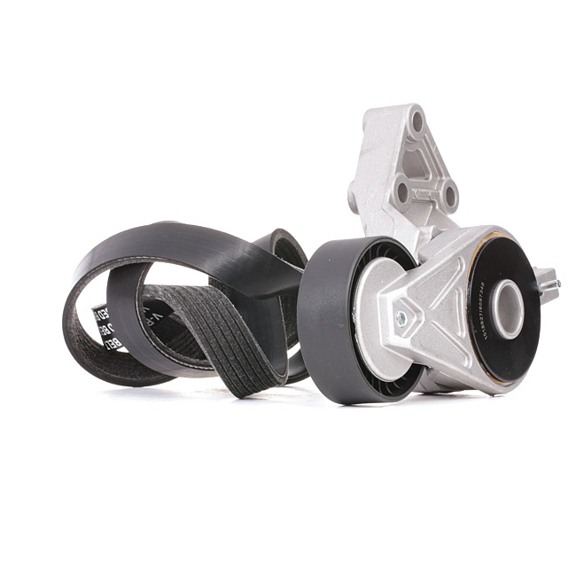 Acquista online Kit Cinghie Poly-V 542R0664 originale a buon mercato, comparabile con i numeri OEM 06A903315E