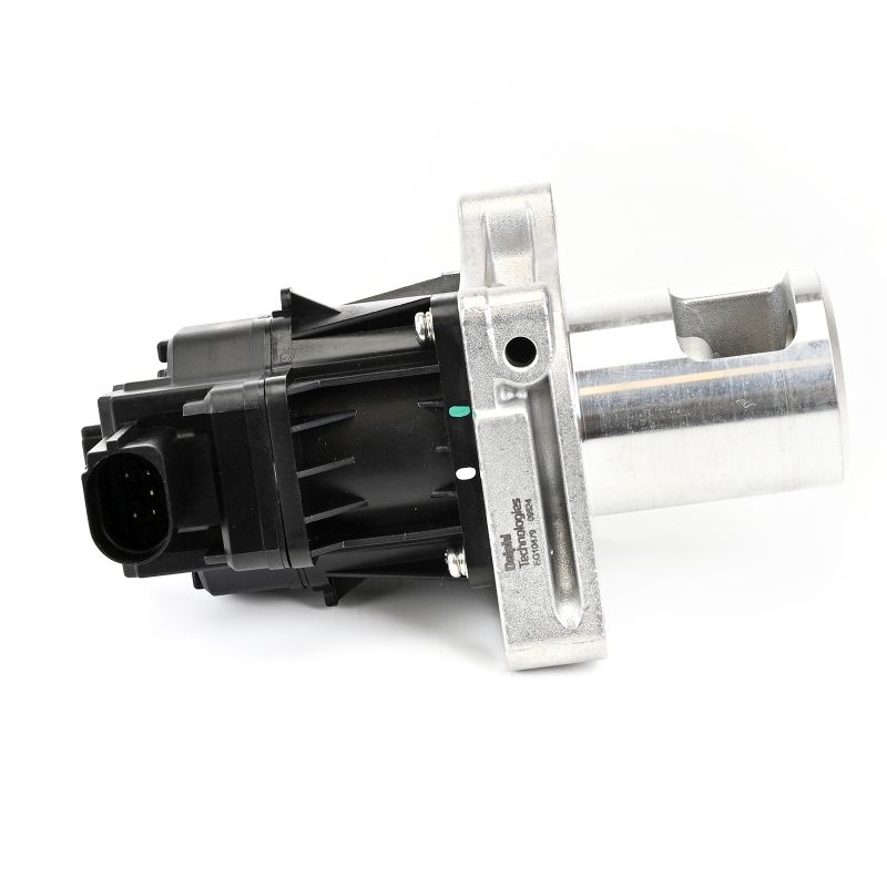 OEM AGR - Ventil OPEL 1.6 SIDI (75) 200 HP Benzín 55570005 od DELPHI online za výborné ceny