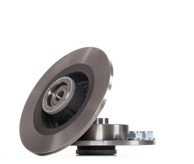 Renault Scenic 1 2003 Diskas BREMBO OEM 7701206327, 7701206328, 8660001815