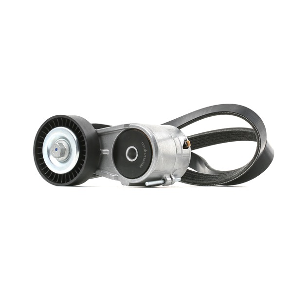 OEM Ozubený klinový remeň - Sada OPEL 1.6 CNG (F75) 97 HP CNG 1340555 od RIDEX online za výborné ceny