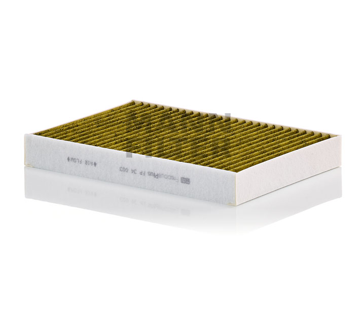 Ostke odavaid originaale Filter, salongiõhk FP 34 003 mis on võrreldavad 31404469 OEM numbritega internetis