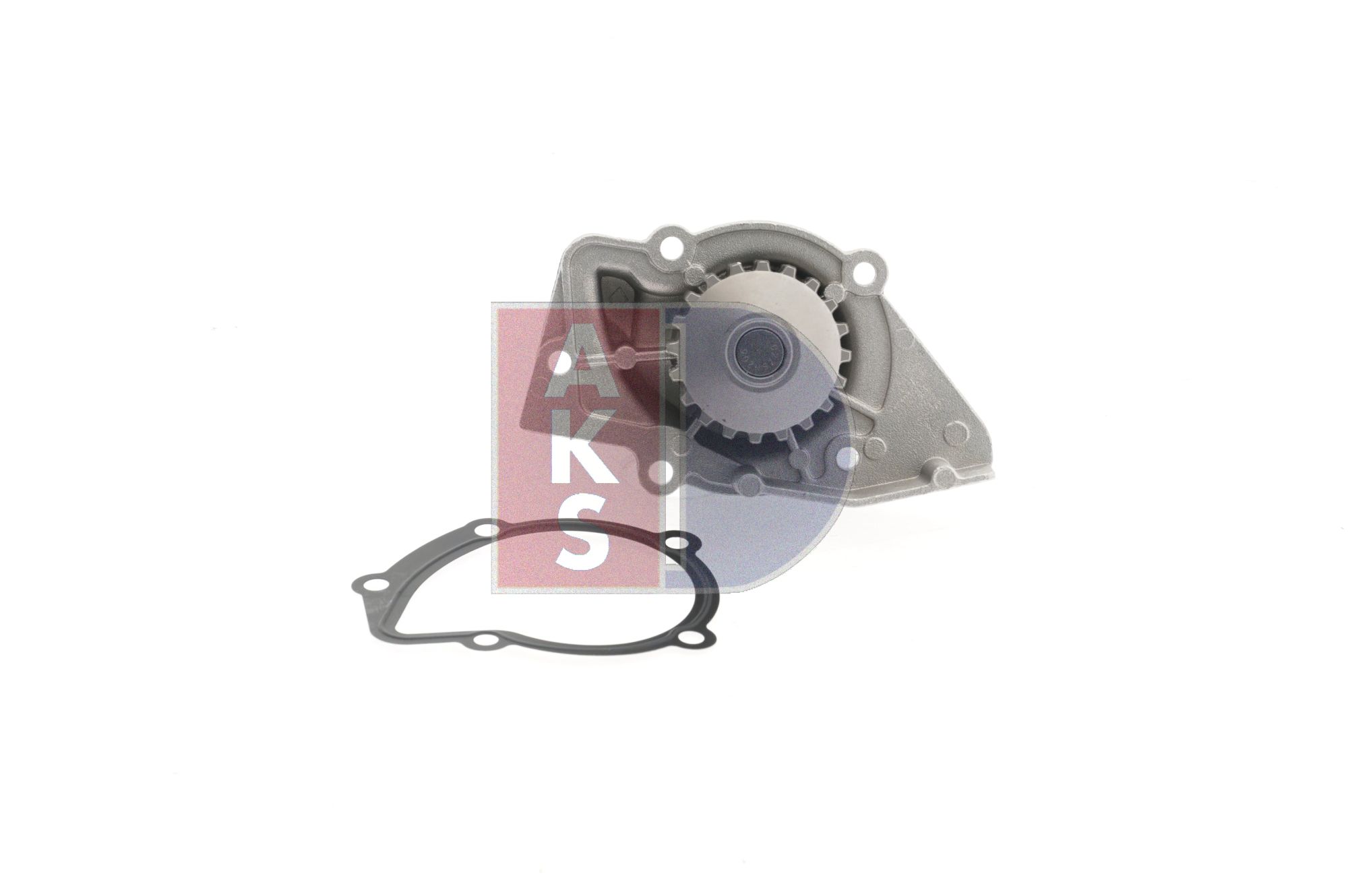 AKS DASIS 570121N Pompe à eau