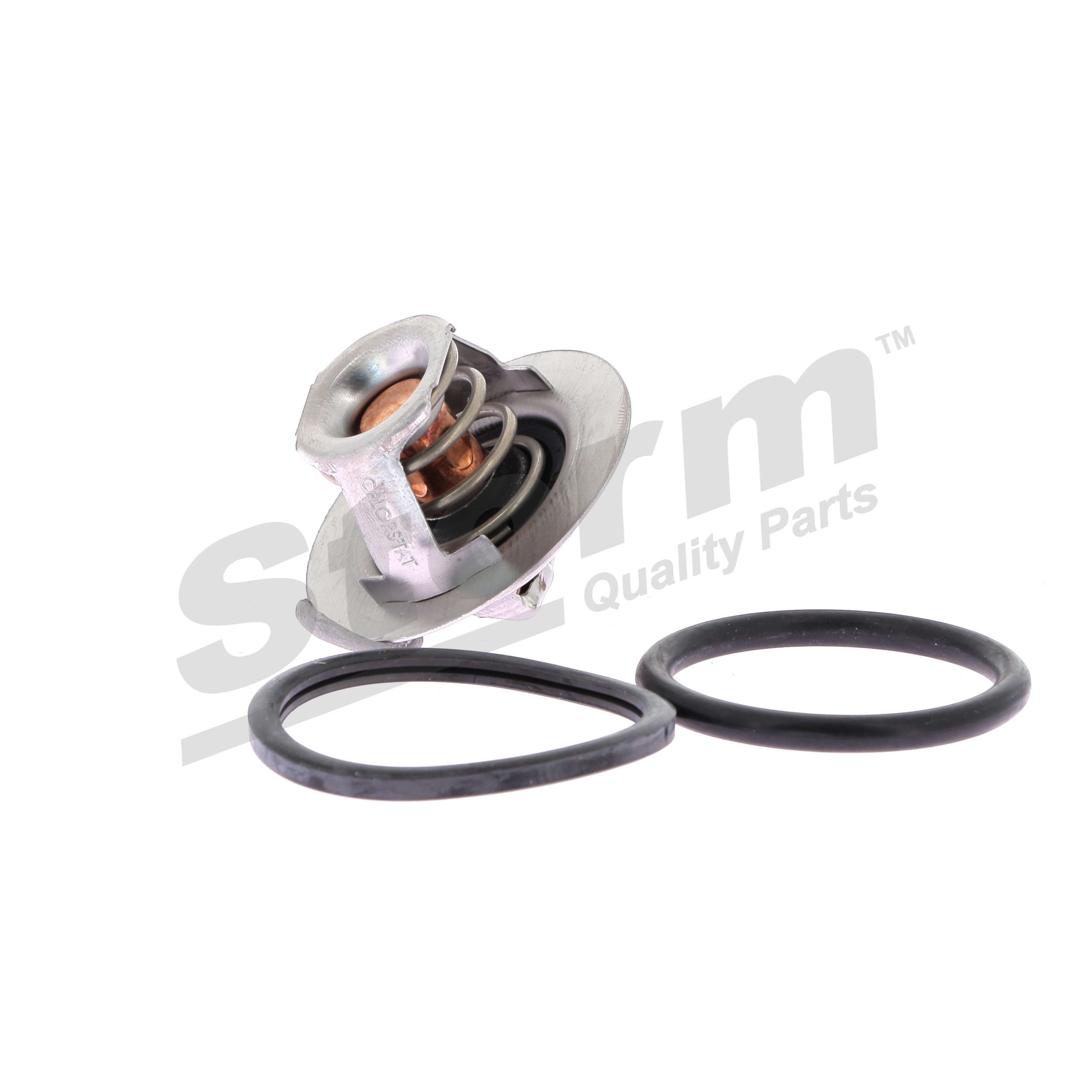 STORM QUALITY PARTS 199024 thermostat liquide de refroidissement RENAULT Megane Scenic JA 1.9 dT (JA0Y) 94 CH Diesel