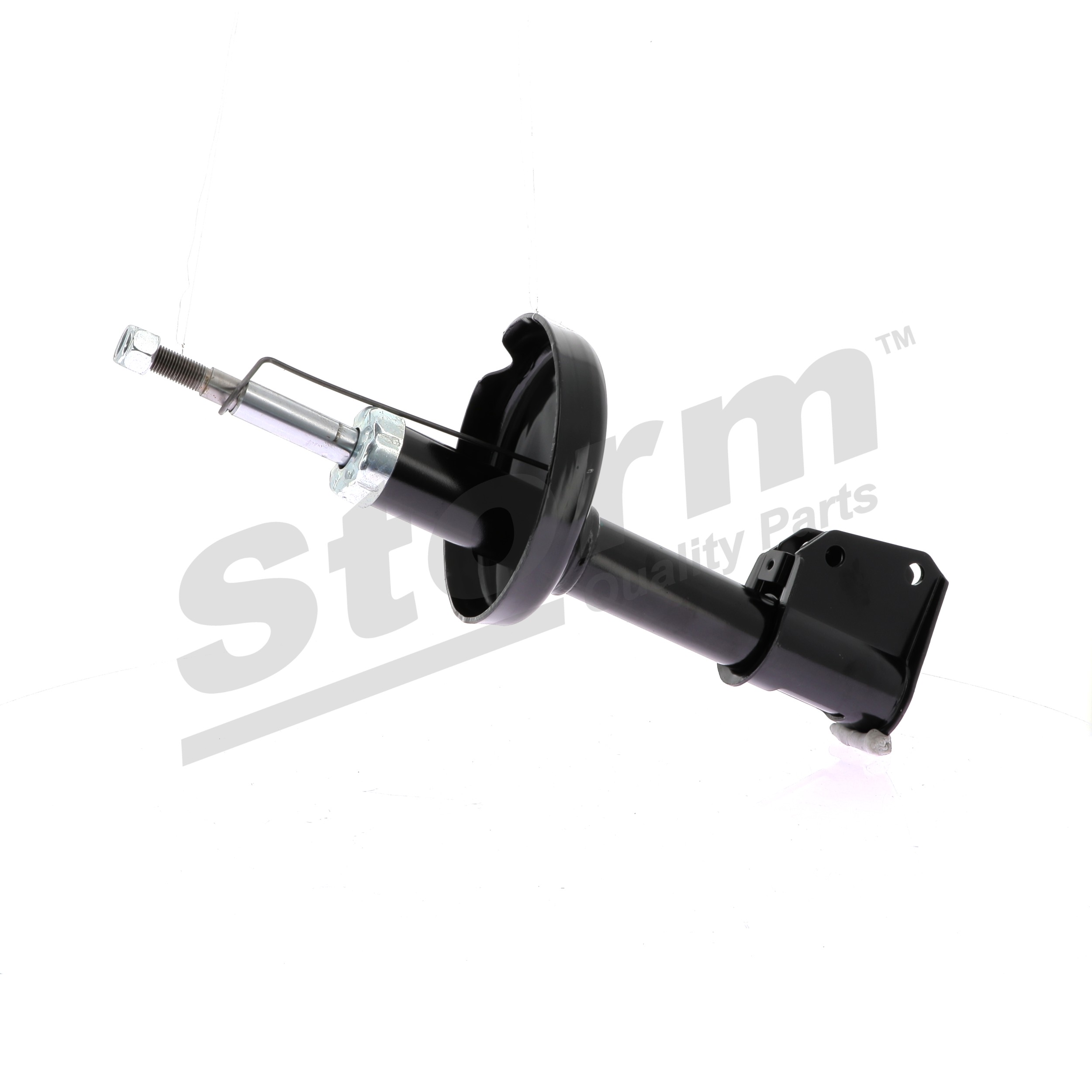 Kupite poceni originalno Blažilnik 813810, primerljivo z 7701479312 OEM številke, prek spleta