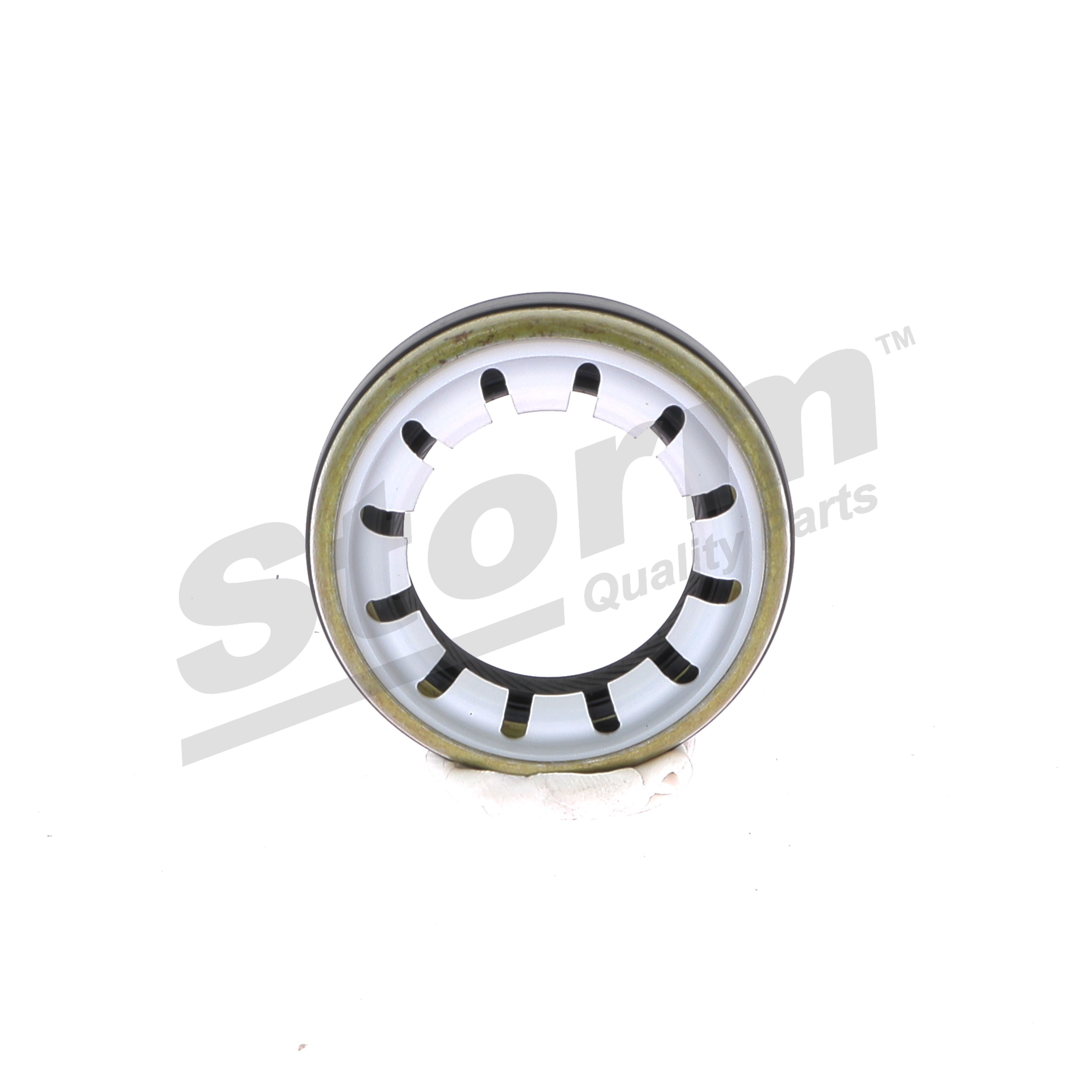 Köp STORM QUALITY PARTS Oljetätningsring för differential Produktnummer: 99913 till det förmånliga priset av 65,09 kr