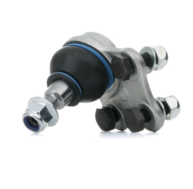 OEM Fuseekogel RENAULT 2.0 dCi 163 PK Diesel 401600005R van REINHOCH online aan geweldige prijzen