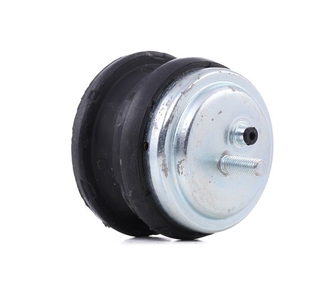 REINHOCH 22 11 6 750 039 Motorlager