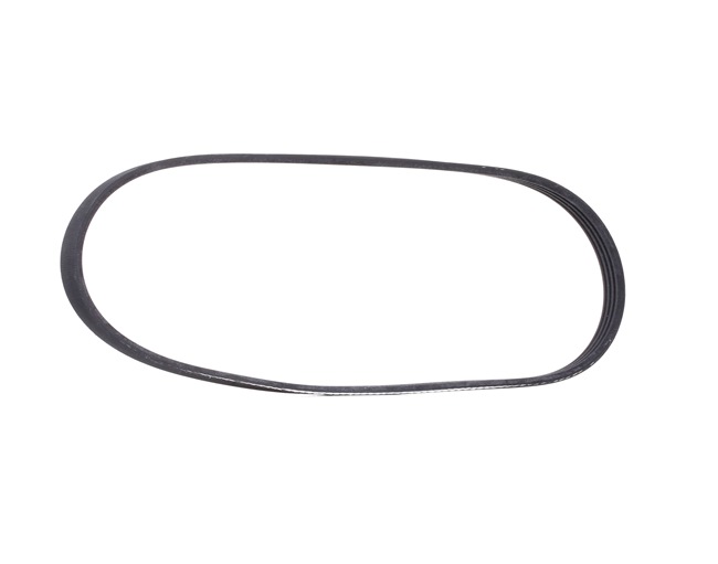 OEM Multiriem RENAULT 1.2 16V (CN04, CN0B) 75 PK Benzine 7700856107 van RIDEX online aan geweldige prijzen