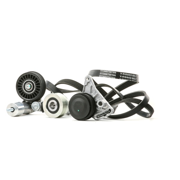 Koop online goedkoop originele Poly V-riem set SKRBS-1200690 vergelijkbaar met 64551727378 OEM-nummers