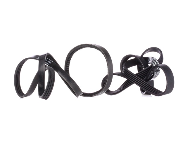 Kupte si levné originální Sada zebrovanych klinovych remenu SKRBS-1200693 porovnatelné s 058260849A OEM čísly online
