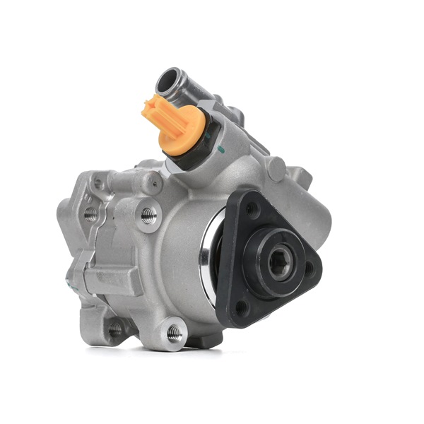 Kupte si levné originální Servo čerpadlo 12H0318 porovnatelné s 4B0145155R OEM čísly online