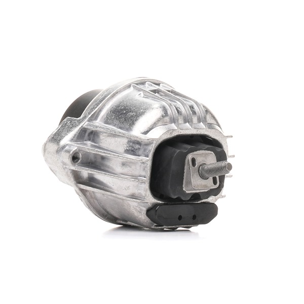 247E0779 RIDEX Motorhalter X1 (E84) xDrive25d 2.0 218 PS Diesel
