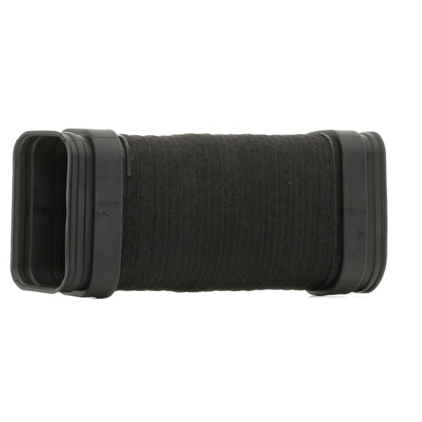 OEM Tubo flexible de aspiración, filtro de aire BMW 1.6 105 CV Gasolina 13717795284 de RIDEX online a precios inmejorables