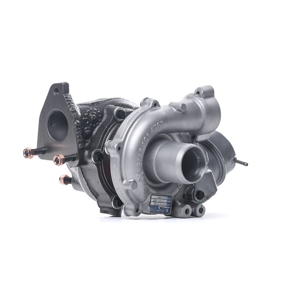 OEM Turbocharger RENAULT 1.6 E-TECH 160 (B9NH) 160 PK Benzine/Elektro 1441100Q2J van RIDEX REMAN online aan geweldige prijzen