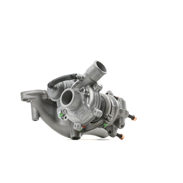 Kupite poceni originalno Turbopolnilnik 2234C10170R, primerljivo z 172013301084 OEM številke, prek spleta