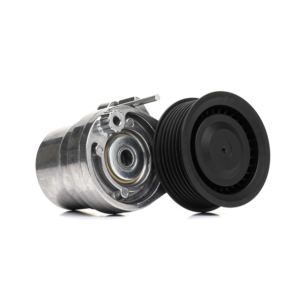 OE Rolă accesorii SMART FORFOUR 2022 117507306R, 6392000470, A6392000470 de la RIDEX