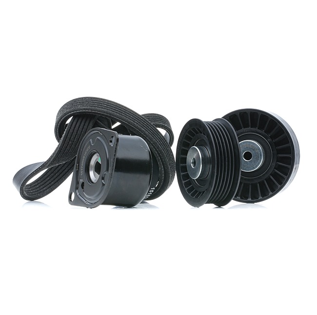Koop online goedkoop originele Poly V-riem set 542R0730 vergelijkbaar met 0029935496 OEM-nummers