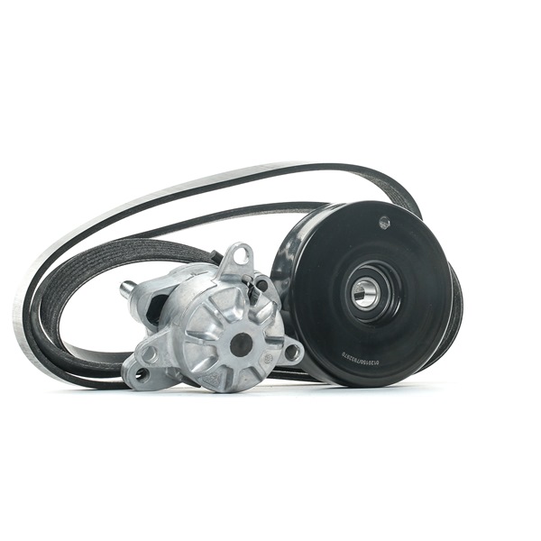 Compre Juego de correas trapeciales poli V SKRBS-1200729 original asequible comparable con números OEM online 0139974792