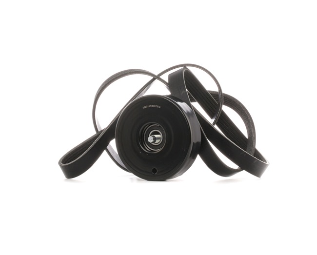 Compre Juego de correas trapeciales poli V 542R0731 original asequible comparable con números OEM online 0139974792