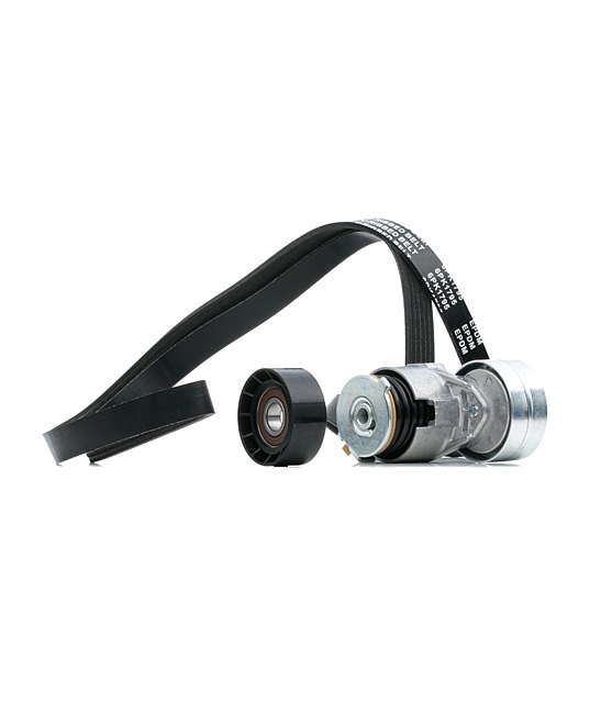OEM Poly V-riem set RENAULT 1.9 dCi (BG0R, BG0E) 100 PK Diesel 1172000Q1M van RIDEX online aan geweldige prijzen