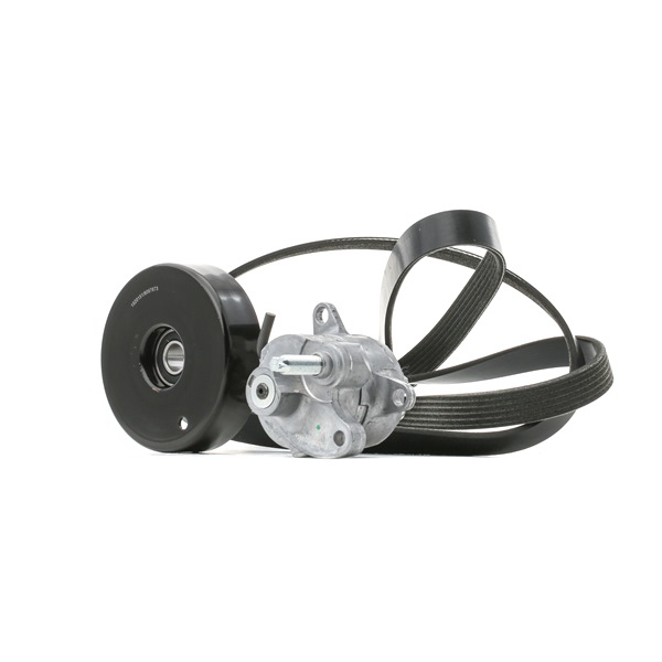 Compre Juego de correas trapeciales poli V 542R0738 original asequible comparable con números OEM online 00A903315