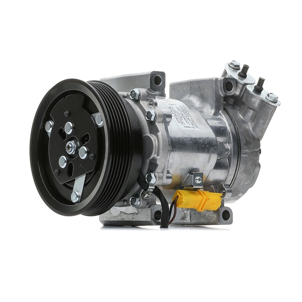 RENAULT 1.2 75 AG benzinas Kondicionieriaus kompresorius OEM 7711368902 iš DELPHI internetu puikiomis kainomis