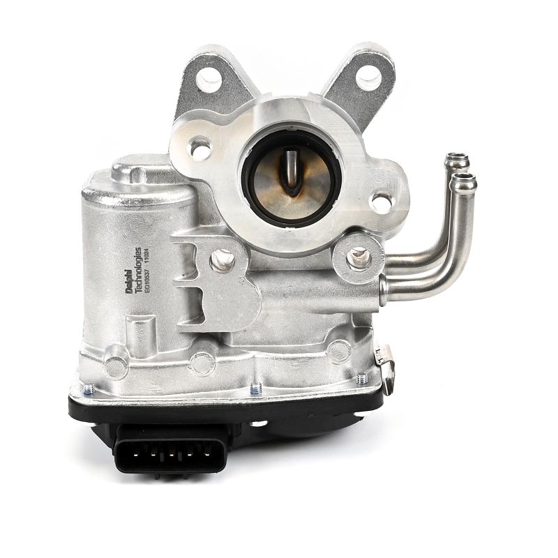 Įsigykite DELPHI ERG vožtuvas Prekės Nr.: EG10537-12B1 už žemiausią 148,69 € kainą