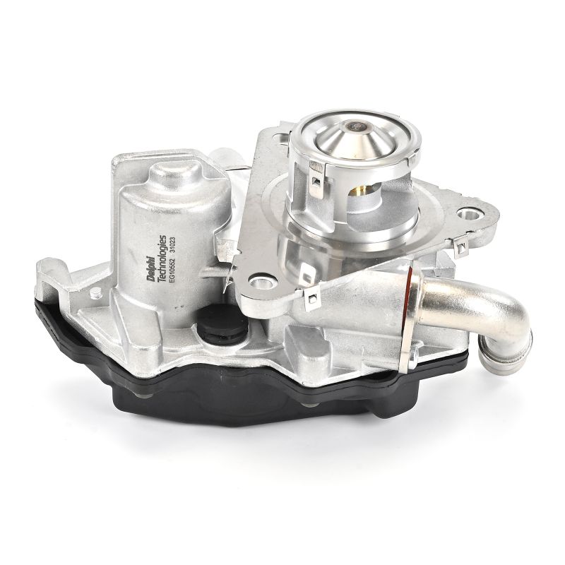 Compre DELPHI Válvula EGR Número de producto: EG10552-12B1 a bajo precio de 197,25 €
