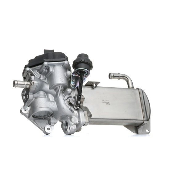 DELPHI Supapă EGR EG10584-12B1