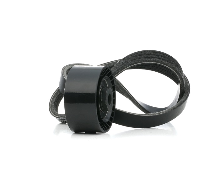 OEM Poly V-riem set RENAULT 1.2 16V (CN0K, CN0V, CN0A) 76 PK Benzine 7701478933 van RIDEX online aan geweldige prijzen