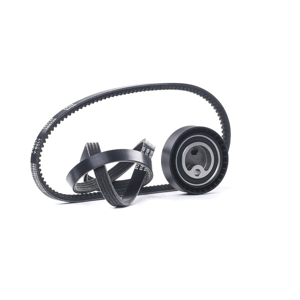 Ostke odavaid originaale Soonrihmakomplekt SKRBS-1200881 mis on võrreldavad 73323SA000 OEM numbritega internetis