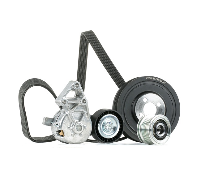 OEM Σετ ιμάντων poly-V VW 1.9 TDI 130 PS Πετρέλαιο από την RIDEX ηλεκτρονικά σε χαμηλές τιμές