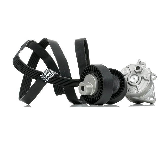 Acquista online Kit Cinghie Poly-V 542R0913 originale a buon mercato, comparabile con i numeri OEM 1748832