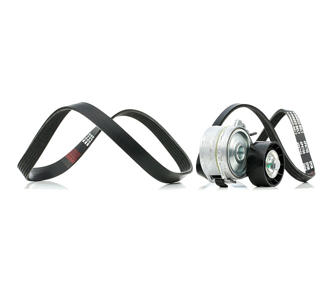 OEM Poly V-riem set FIAT 2.0 JTD 84 PK Diesel van RIDEX online aan geweldige prijzen